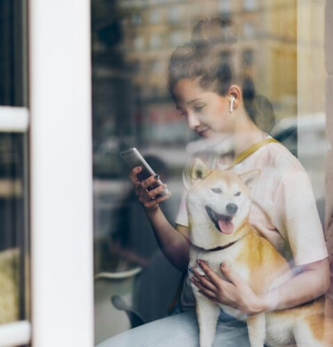 vitaly-gariev-IkJ5I85FGPo-unsplash